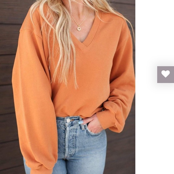 AGOLDE V Neck Balloon Sleeve Sweatshirt in Umber - Picture 8 of 16